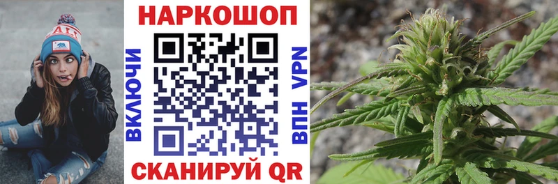 Какие есть наркотики Чебоксары гидра вход COCAIN А ПВП ГАШИШ МАРИХУАНА