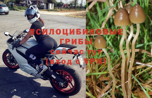 меф Богородицк