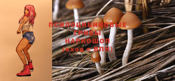 меф Богородицк