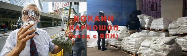 тгк Богданович